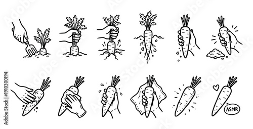 Hand drawn carrot harvesting and preparation icons showing the process from digging to washing and eating, a black and white doodle set illustrating gardening and fresh food concepts