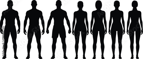 Human silhouettes, male female figures, body outline, anatomy illustration, fitness design, fashion template, ergonomic study, people vector, diversity concept, standing pose