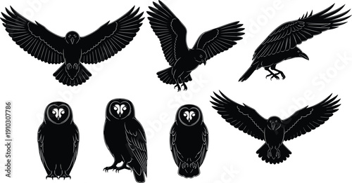Set of bird of prey silhouettes including flying eagles hawks ravens and sitting owls for wildlife design cad drawing flat vector illustration