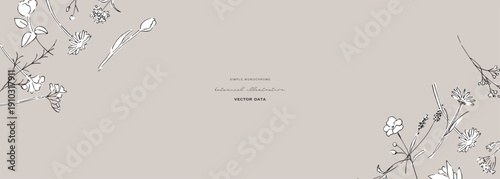 草木のベクター背景。植物のナチュラルフレーム。草木の線画イラスト。