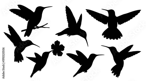 Hummingbird silhouettes set with flying and perching bird poses
