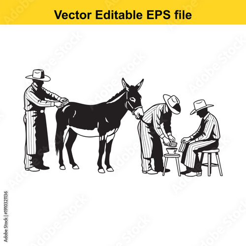  veterinarian examining a donkey with two assistants