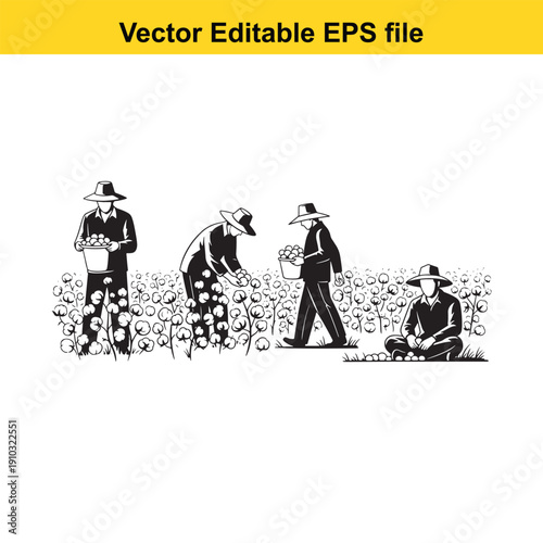  farmers harvesting crops in a field together