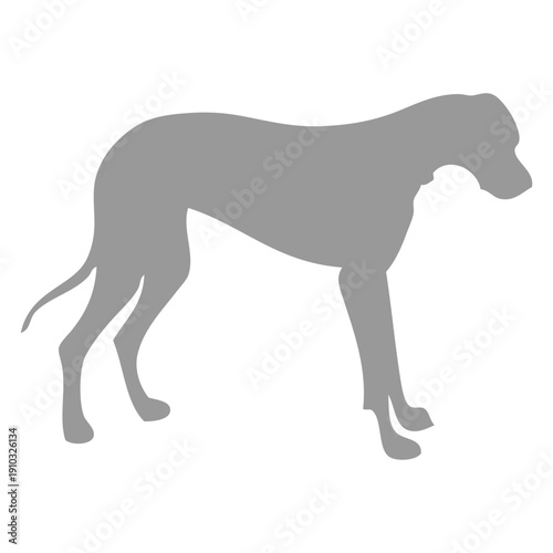 Grey Dog Silhouette