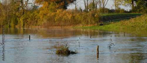 Panel kuchenny z motywem Prairie inondée par le débordement de l'Arroux, une rivière de Bourgogne en France, par une journée d'hiver ensoleillée, format bannière