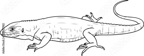 Detailed illustration of a lizard, isolated on white background. Scientific drawing of reptile anatomy. , Generative Ai