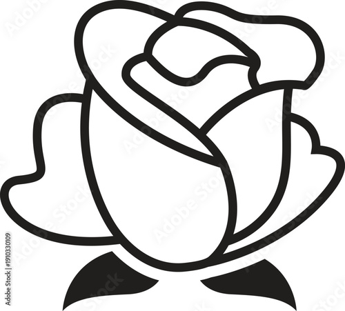 Roses hand drawn set. Black line rose flowers inflorescence silhouettes isolated on white background. Icon collection.