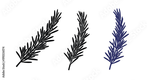 Three rosemary sprigs in varying shades of blue and black
