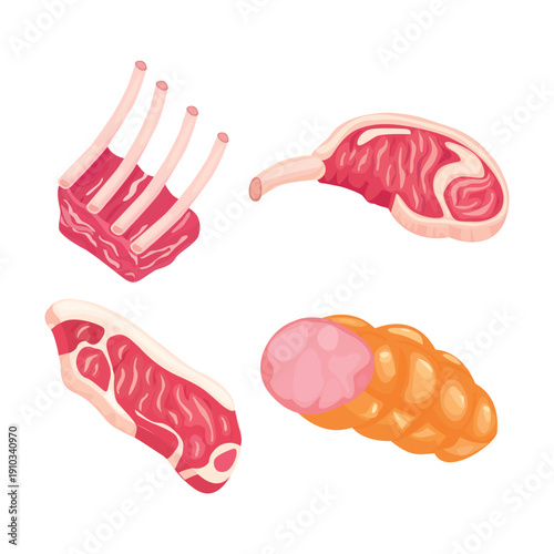 Meat set illustration on white background Vol 01