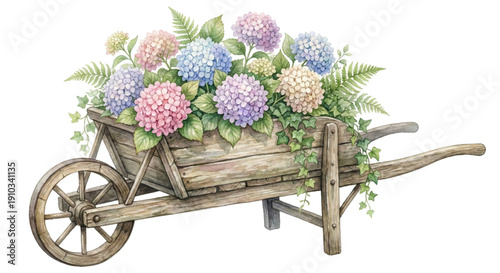 Watercolor illustration, rustic wooden garden wheelbarrow filled with blooming pastel hydrangeas and green foliage, cottagecore aesthetic, delicate romantic vibe, isolated on white