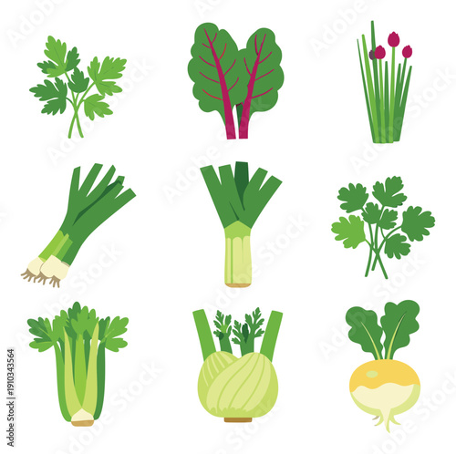 Colorful flat vegetable set featuring fresh green produce for healthy eating