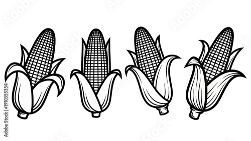 Four ears of corn in various stages of husking, illustrated in black and white, viewed from the side.