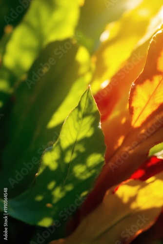 Vibrant close up of green and yellow foliage illuminated by bright sun flare