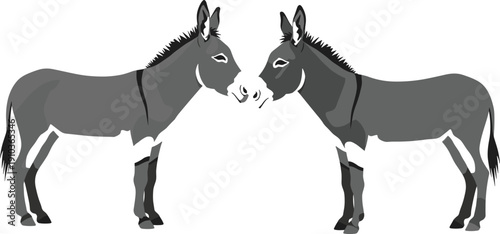 Two cute grey donkeys standing and facing each other, vector illustration isolated on white background for farm design