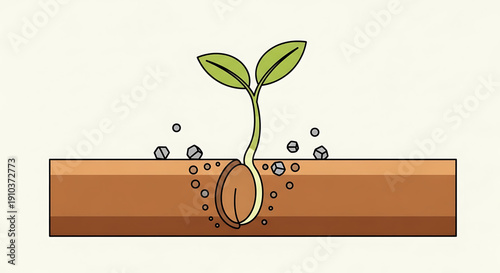 Sprouting seedling emerging from soil with bubbles symbolizing growth and new life in a natural environment