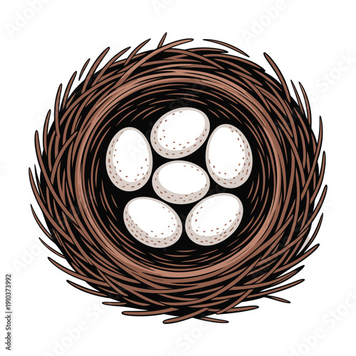 An illustration of a bird's nest with five white eggs on a plain white background