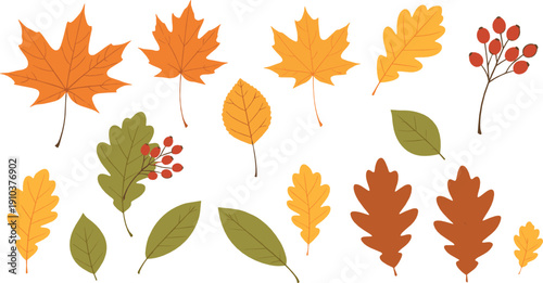 Autumn leaves illustration set with colorful fall foliage and berries in warm earthy tones for seasonal nature, botanical, and decorative design projects
