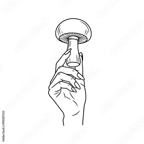 Icon of a beautiful hand holding a mushroom, representing concepts of healthy eating and culinary creativity