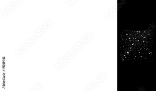 Abstract black and white overlay featuring scattered white particles suggesting intense snowfall dust or particulate matter against a dark background ideal for cinematic effects