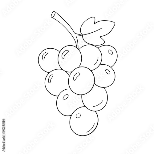 A fresh cluster of ripe purple grapes on a leafy green grapevine branch forms a sweet and healthy food illustration perfect for agriculture or vineyard themes