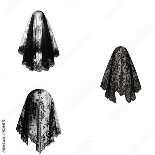 Bild auf Leinwand Mysterious black lace veils set isolated on transparent background