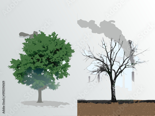 Contrasting trees depict environmental impact healthy versus dying vegetation