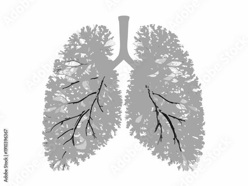 Anatomical illustration of human lungs rendered in grayscale detail