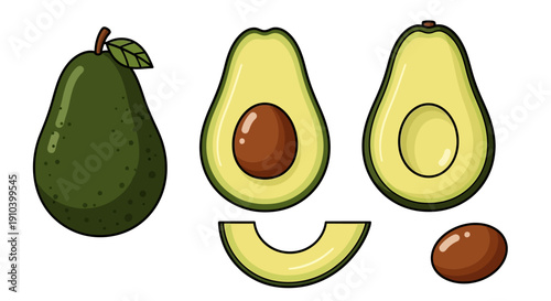 Fresh avocado vector illustration set with whole fruit, halves with pit, and slices isolated on white