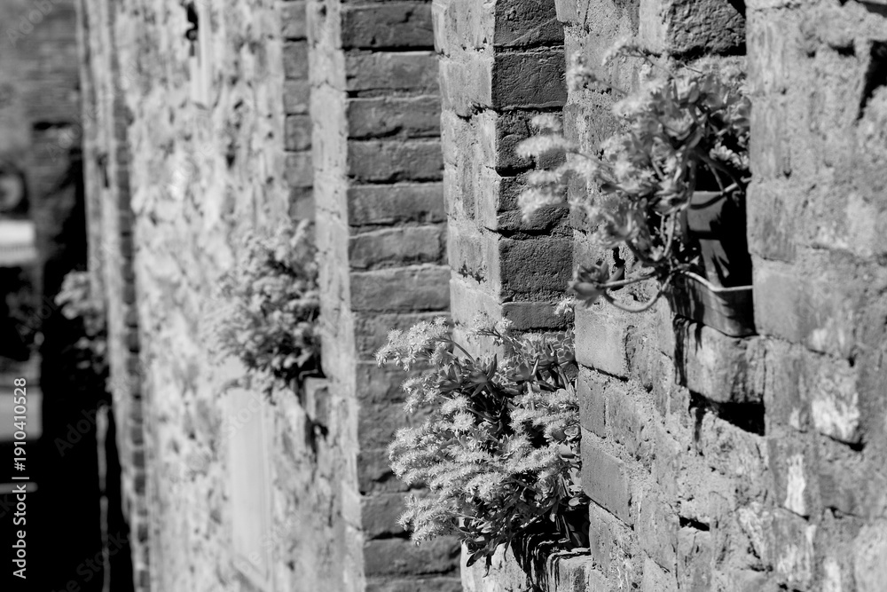 Fototapeta premium Borghi toscani in bianco e nero. I vicoli medievali del borgo di Montisi nella regione delle Crete Senesi, in provincia di Siena. Toscana, Italia