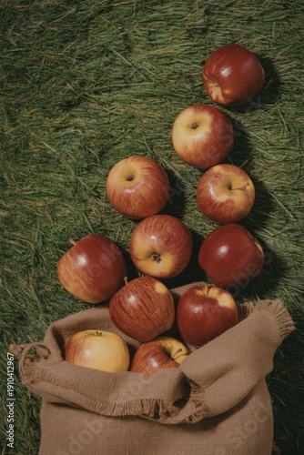 Fresh red apples spilling out of burlap sack on green grass
