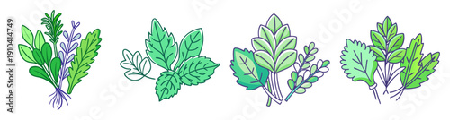 Fresh green mint leaves vector icon set isolated on white background for cooking and herbal medicine