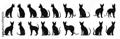peterbald cat silhouette clipart bundle 