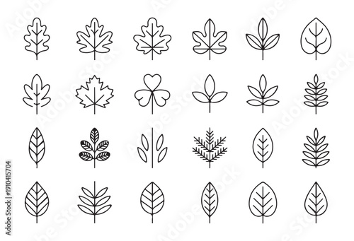 Minimalist outline leaf icons set featuring various tree species for seasonal autumn and spring decoration