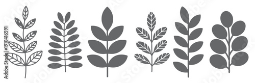 six gray silhouette botanical branch illustrations simple