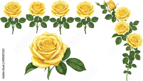 Elegant yellow rose flowers vector set with blooming botanical floral illustration and decorative garden collection