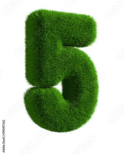 Number five from grass on w...