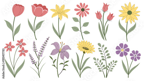 Flower floral botanical illustration vector plant blossom leaf collection of pastel wildflower and garden bloom, hand drawn style, isolated on white background for decor and print