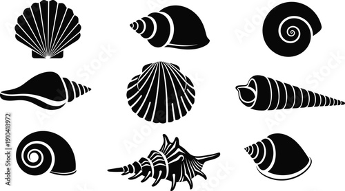 Sea Shells Silhouettes Set Vector Illustration of Various Marine Mollusk Shells Isolated on White Background for Design, Logos, and Nature Themed Graphics
