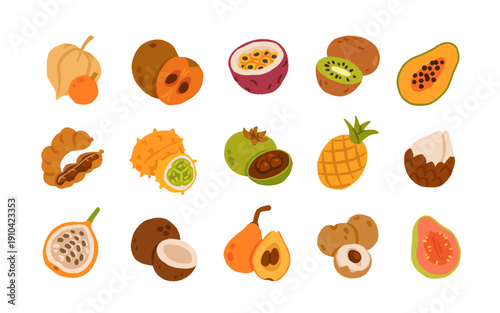 Exotic, tropical, rare and Common Fruits Collection. Flat cartoon Vector Set of fruits on white isolated background.
