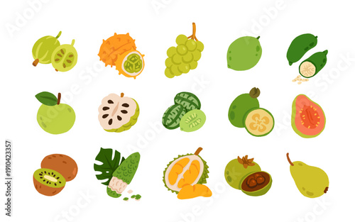 Exotic, tropical, rare and Common Fruits Collection. Flat cartoon Vector Set of fruits on white isolated background.