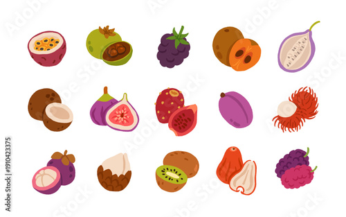 Exotic, tropical, rare and Common Fruits Collection. Flat cartoon Vector Set of fruits on white isolated background.