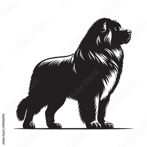 Caucasian Shepherd Dog Guardian of Mountains Powerful Loyal Protector Ancient Breed Noble Giant Watchful Companion Fearless Defender Rustic Beauty Strength Courage Heritage Working Dog.