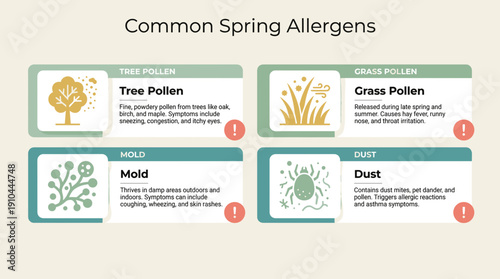 Common Spring Allergens Infographic featuring tree pollen, grass pollen, mold, dust  