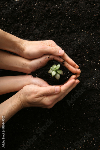 Couple holding plant on gro...