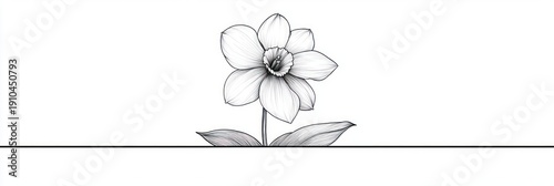 single delicate line-drawn daffodil with two leaves above a thin horizon line conveying calm minimalism