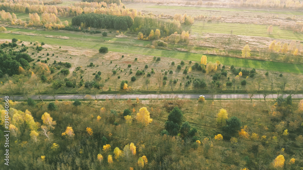 custom made wallpaper toronto digitalJourney by car on straight road in fall