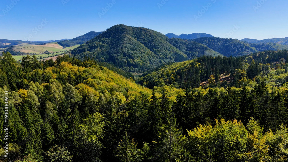Obraz premium Aerial view of lush green forest with mountains creating a serene nature setting, Sitka, Alaska, USA.