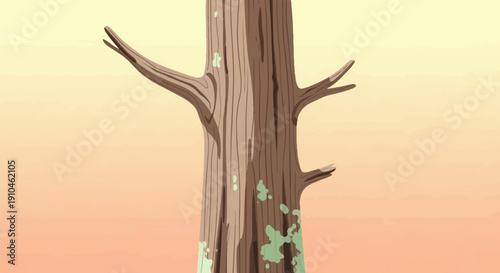 Close up of a gnarled tree trunk with mossy patches, set against a gradient sky