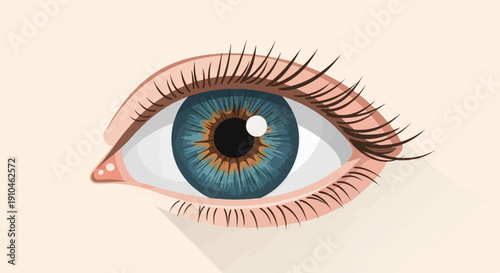 Close-up illustration of a human eye with blue and brown iris