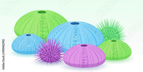 Colorful sea urchins in a light, gradient background